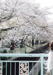 [Photobook] 七ツ森りりデジタル写真集 とられち(No Watermark)