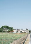 [Photobook] 小島みなみ デジタル写真集 とられち(No Watermark)