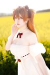 [Cosplay] 星之迟迟 EVA 明日香花之语
