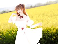 [Cosplay] 星之迟迟 EVA 明日香花之语