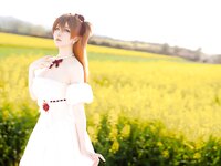 [Cosplay] 星之迟迟 EVA 明日香花之语