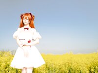 [Cosplay] 星之迟迟 EVA 明日香花之语