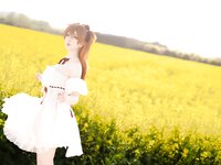 [Cosplay] 星之迟迟 EVA 明日香花之语