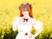 [Cosplay] 星之迟迟 EVA 明日香花之语