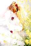 [Cosplay] 星之迟迟 EVA 明日香花之语