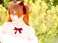 [Cosplay] 星之迟迟 EVA 明日香花之语
