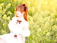 [Cosplay] 星之迟迟 EVA 明日香花之语