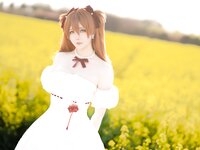 [Cosplay] 星之迟迟 EVA 明日香花之语