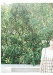[Photobook] 天音まひな デジタル写真集 とられち(No Watermark)