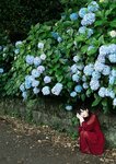 [Photobook] 七沢みあ デジタル写真集 とられち(No Watermark)