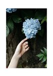 [Photobook] 七沢みあ デジタル写真集 とられち(No Watermark)