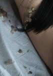 [Photobook] 七沢みあ デジタル写真集 とられち(No Watermark)