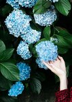 [Photobook] 七沢みあ デジタル写真集 とられち(No Watermark)