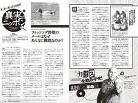 [Weekly Playboy] 2024 No.19 (正源司陽子 丹生明里 山口陽世 白濱美兎 天羽希純 筧美和子 清流あゆ 三田悠貴 橘和奈 他)