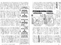 [Weekly Playboy] 2020 No.38 松本まりか 新谷姫加 ほのか 川津明日香 村田実果子 緑川静香 他