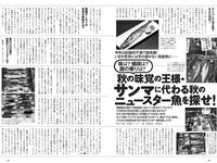 [Weekly Playboy] 2020 No.38 松本まりか 新谷姫加 ほのか 川津明日香 村田実果子 緑川静香 他