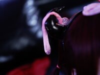 [Cosplay] 胡桃猫Kurumineko 魅魔