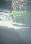 [Photobook] 2024.06.03 B.L.T.デジタル写真集 松本日向「peony」