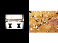 [Photobook] 新村あかり グラビア写真集『旅情の奥へ』