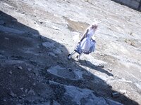 [Cosplay] G44 不会受伤 - Flowered 未花