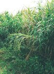 [Photobook] 松下玲緒菜2nd写真集 in the seasons