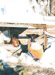 [Photobook] 松下玲緒菜2nd写真集 in the seasons
