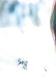 [Photobook] 松下玲緒菜2nd写真集 in the seasons