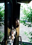 [UP TO BOY] vol.339 Yoko Shogenji 正源司陽子, Sumire Miyachi 宮地すみれ