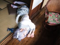 [Cosplay] Elyee 2024年4月 – Tier 3