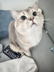 [Fantia] 2024年5月 眼酱大魔王w [32P1V-190MB]