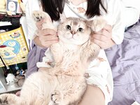 [Fantia] 2024年5月 眼酱大魔王w [32P1V-190MB]