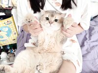 [Fantia] 2024年5月 眼酱大魔王w [32P1V-190MB]