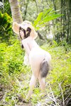 [Cosplay] 日奈娇 山野间