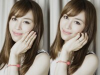 [Photobook] プレミア美女図鑑 vol.1