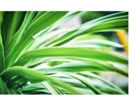 [Photobook] 古河由衣 グラビア写真集 魅せられて...pre[112P]