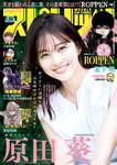 [Big Comic Spirits] 2024 No.32 (原田葵)