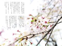 [Photobook] 望月あやか ヌード写真集 ことの始まり