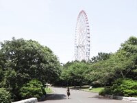 [Photobook] 美人妻写真集 となりの奥さん みつき