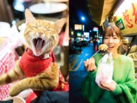 FLASHデジタル写真集Q 園都 内緒の恋、してますか？