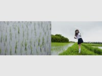 [Photobook] 唯奈みつき グラビア写真集 この胸のときめき[47P-PNG]