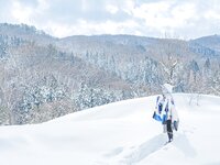 [Cosplay] 音琴ひつじ - 雪鬼草子