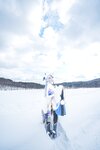 [Cosplay] 音琴ひつじ - 雪鬼草子