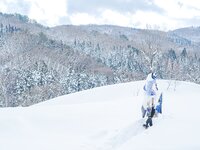 [Cosplay] 音琴ひつじ - 雪鬼草子