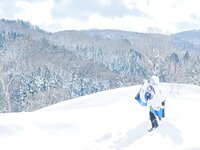 [Cosplay] 音琴ひつじ - 雪鬼草子