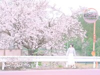 [Fantia] 2024年3月限定 音琴ひつじ 恋羊