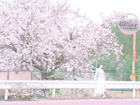 [Fantia] 2024年3月限定 音琴ひつじ 恋羊
