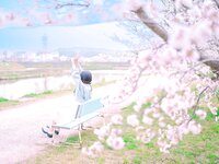 [Fantia] 2024年3月限定 音琴ひつじ 恋羊