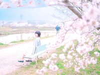 [Fantia] 2024年3月限定 音琴ひつじ 恋羊