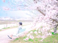 [Fantia] 2024年3月限定 音琴ひつじ 恋羊
