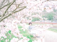 [Fantia] 2024年3月限定 音琴ひつじ 恋羊